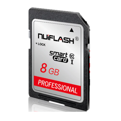 Carte SD 8GB
